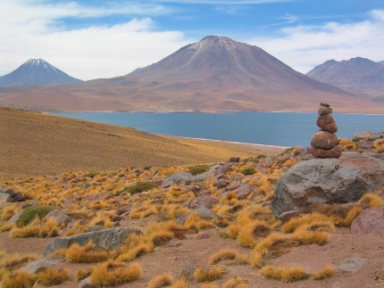 Désert d'Atacama - Lagune Miniques