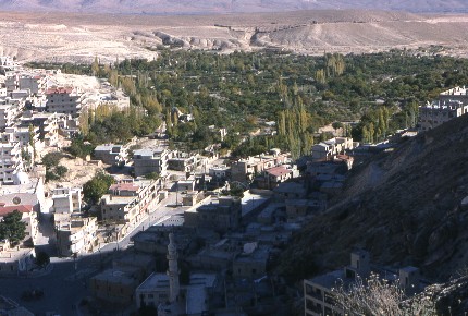 Ma'Aloula, ville et oasis